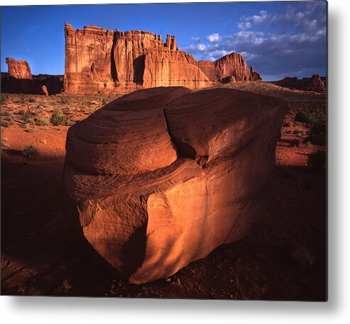 National Park Metal Print featuring the photograph Cameo Appearance by Ray Mathis