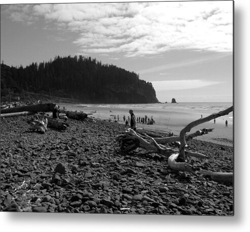 Cape Meares Metal Print featuring the photograph Cape Meares by Chriss Pagani