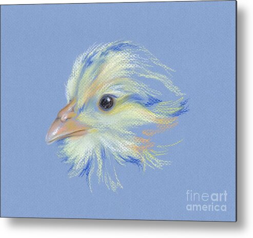 Chick Metal Print featuring the pastel Chick - Plymouth Barred Rock by MM Anderson