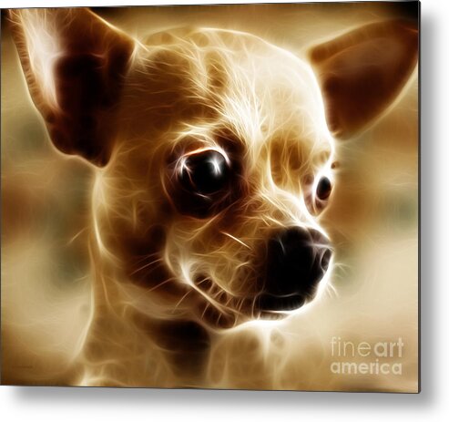 Animal Metal Print featuring the photograph Chihuahua Dog - Electric by Wingsdomain Art and Photography