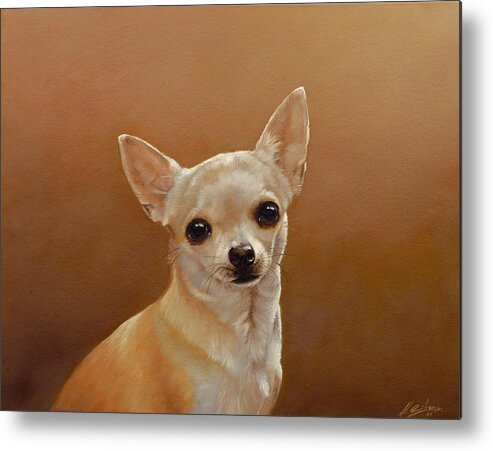 Chihuahua Metal Print featuring the painting Chihuahua I by John Silver
