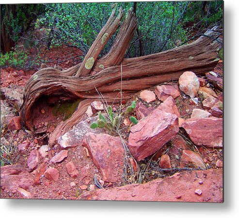 Landscape Metal Print featuring the photograph Colorado Trail View 2 by Flees Photos