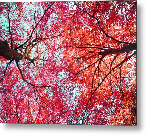 Abstract Metal Print featuring the photograph Abstract Red Blue Nature Photography by Nadja Drieling - Flower- Garden and Nature Photography - Art Shop