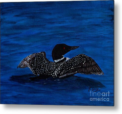 Barbara Griffin Metal Print featuring the painting Common Loon Preening by Barbara A Griffin