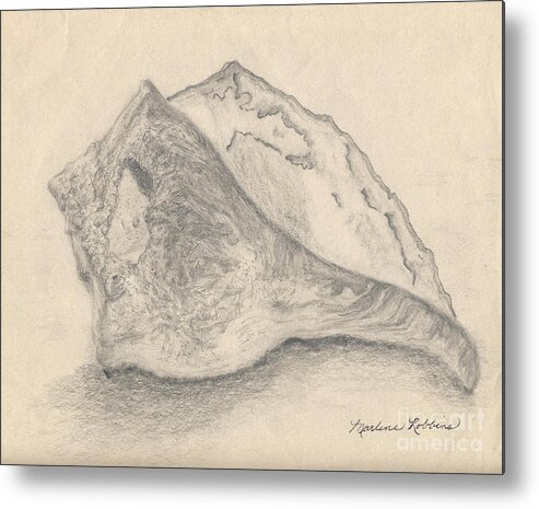 Seashell Metal Print featuring the drawing Conch Shell by Marlene Robbins