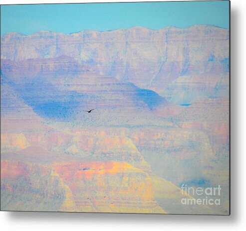Grand Metal Print featuring the photograph Condor Series A by Cheryl McClure