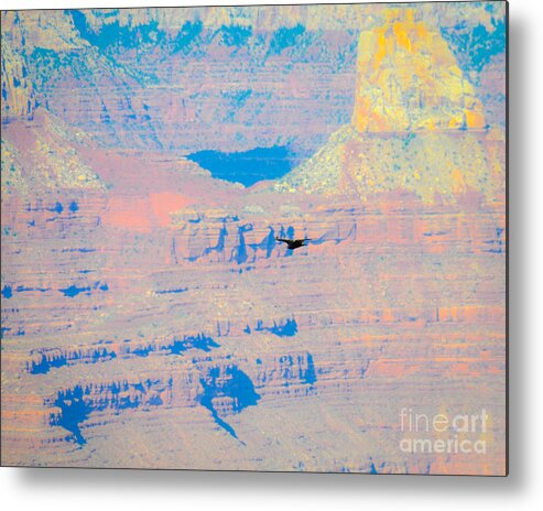 Grand Metal Print featuring the photograph Condor Series F by Cheryl McClure