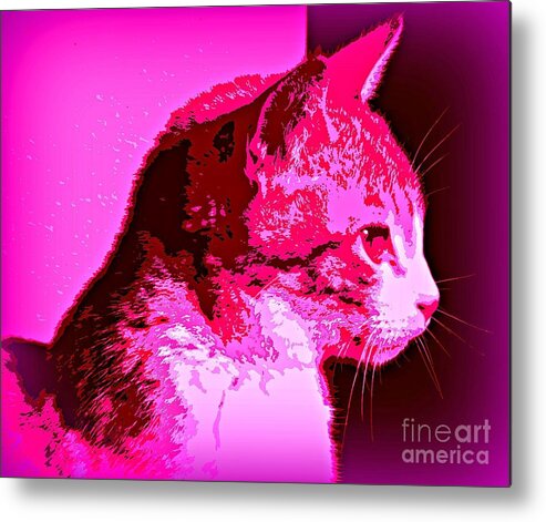 Cat Canvas Metal Print featuring the photograph Cool Cat by Clare Bevan