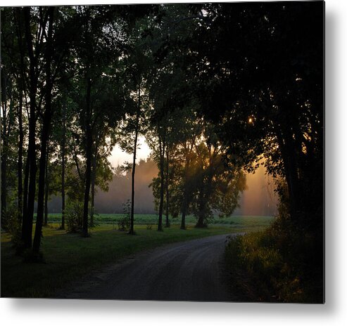 Landscape Metal Print featuring the photograph Country Road by Pamela Peters