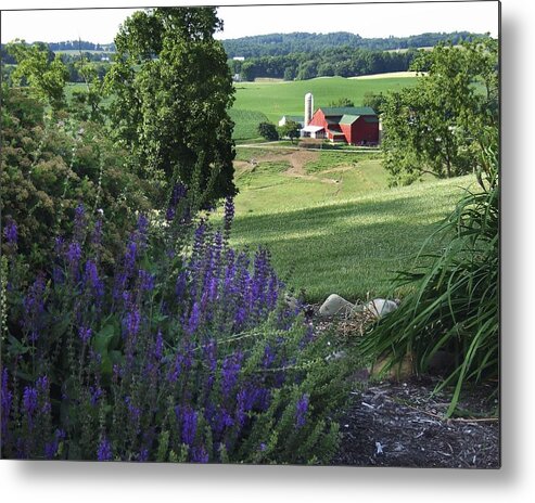 Country Metal Print featuring the photograph Country Valley by Steve Ondrus