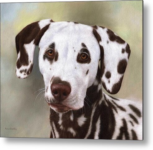 Dog Metal Print featuring the painting Dalmatian Painting by Rachel Stribbling