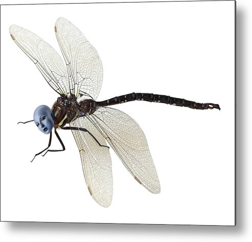 Surreal Metal Print featuring the photograph Damselfly by Jim Painter