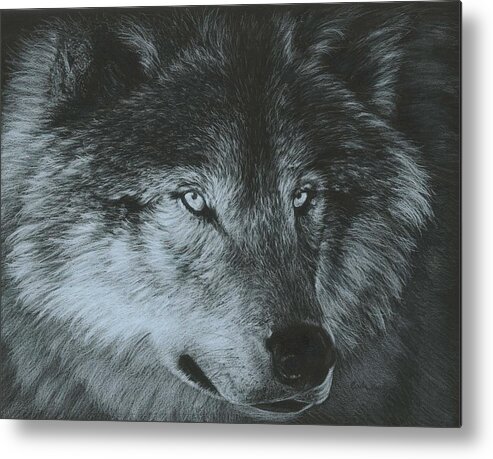 Black Metal Print featuring the painting Dark Wolf by Carla Kurt