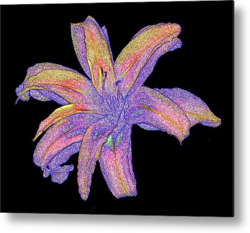 Flower Metal Print featuring the photograph Day Lily #3 by Jim Whalen