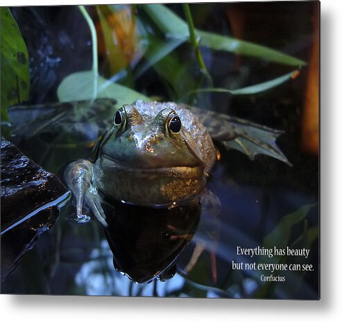 Frog Metal Print featuring the photograph Do You See Beauty by Rhonda McDougall