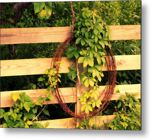 Fence Metal Print featuring the photograph Don't Fence Me In by Cricket Hackmann