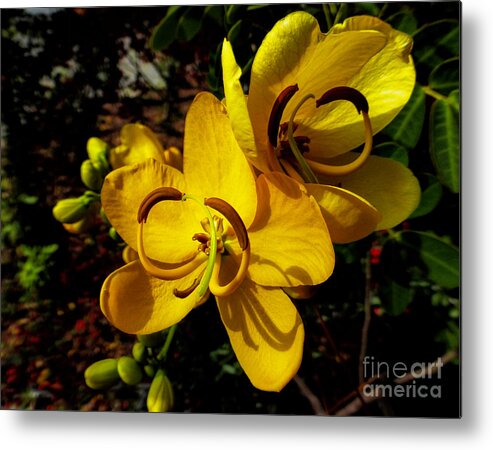 Art Prints Metal Print featuring the photograph Double Yellow by Dave Bosse