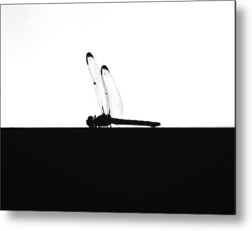 Silhouette Metal Print featuring the photograph Dragonfly Silhouette by Maggy Marsh