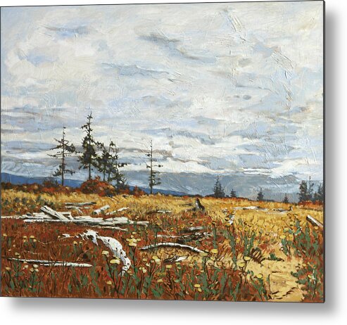 Original Oil Painting By Rob Owen. Landscape Painting Metal Print featuring the painting Driftwood Meadow by Rob Owen