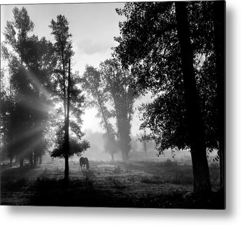 Snake River Ranch Metal Print featuring the digital art Early Morning Myst and a Horse by Wernher Krutein