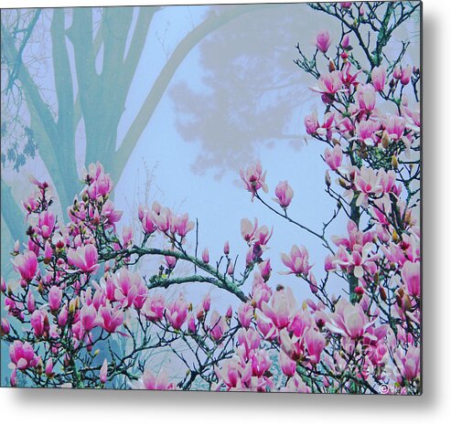 Japaneses Magnolia Metal Print featuring the digital art Early Spring Bloom by Lizi Beard-Ward