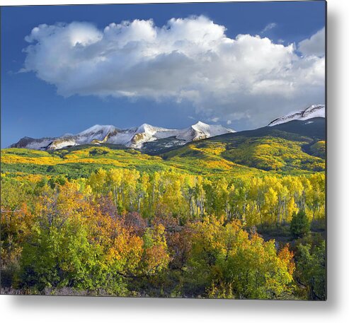 00175174 Metal Print featuring the photograph East Beckwith Mountain Flanked By Fall by Tim Fitzharris