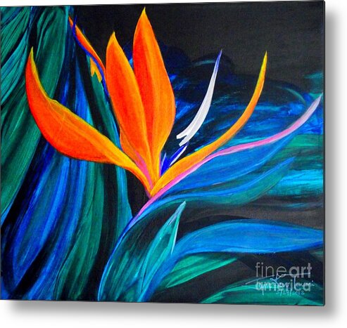 Bird Of Paradise Canvas Print Metal Print featuring the painting Eastcoast Bird of Paradise by Jayne Kerr 
