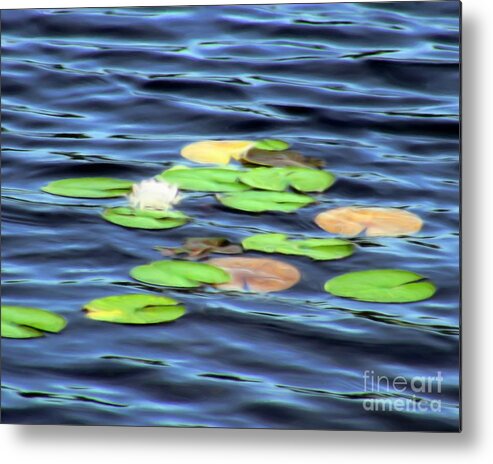Water Metal Print featuring the painting Evening Lake with Water Lily by Pet Serrano