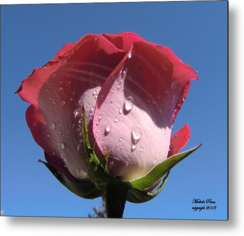 Pink Metal Print featuring the photograph Excellence Centered by Michele Penn