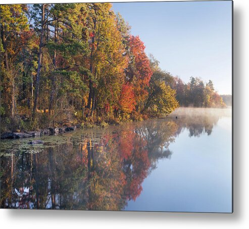 Tim Fitzharris Metal Print featuring the photograph Fall Colors Along Lake Bailee In Petit by Tim Fitzharris