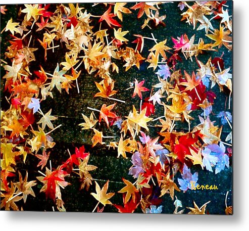 Leaves Metal Print featuring the photograph Fall Leaves 2 by A L Sadie Reneau