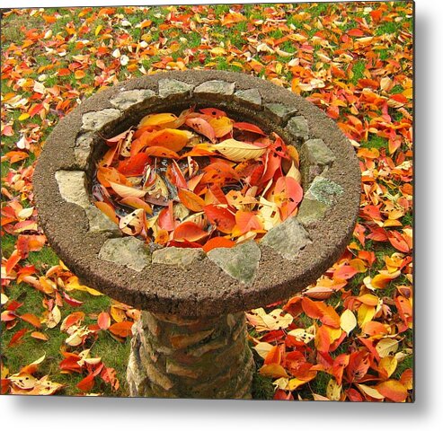 Fall Metal Print featuring the photograph Fall splendor by Bruce Carpenter