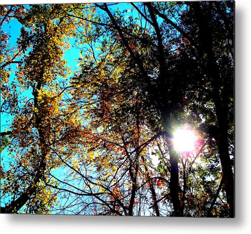 Falling Into Color Metal Print featuring the photograph Falling into Color by Darren Robinson