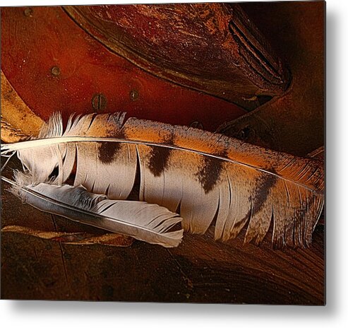 Still Life Metal Print featuring the photograph Feather and Leather by Steven Reed