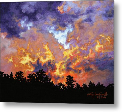 Sunset Metal Print featuring the painting Fire in the Sky by Craig Burgwardt