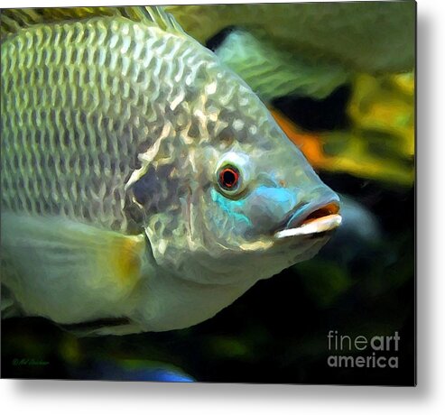 Fish Lips Metal Print featuring the photograph Fish Lips by Mel Steinhauer