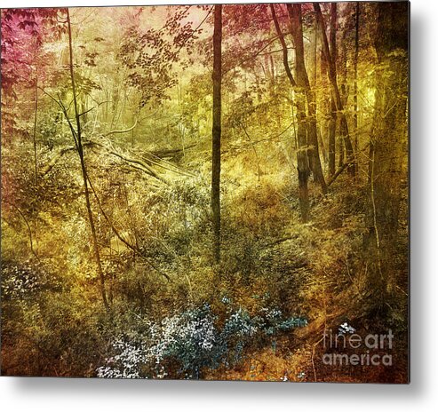Pier Cove Sanctuary Metal Print featuring the photograph Forbidden Forest by Kathi Mirto