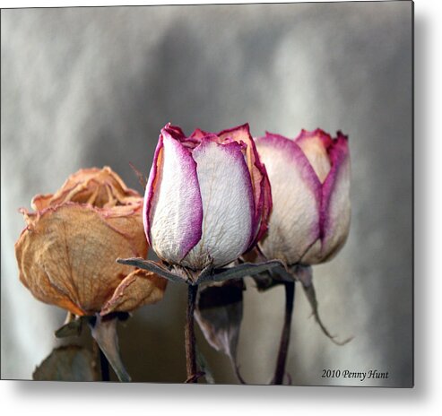 Rose Metal Print featuring the photograph Forever Roses by Penny Hunt