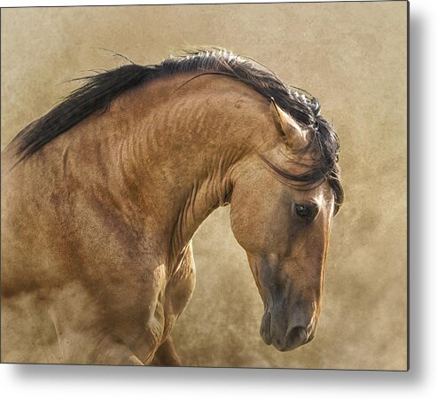 Horse Metal Print featuring the photograph Freedom by Ron McGinnis