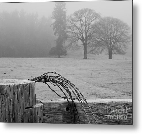 Frost Metal Print featuring the photograph Frost on the Fence Post by Chuck Flewelling