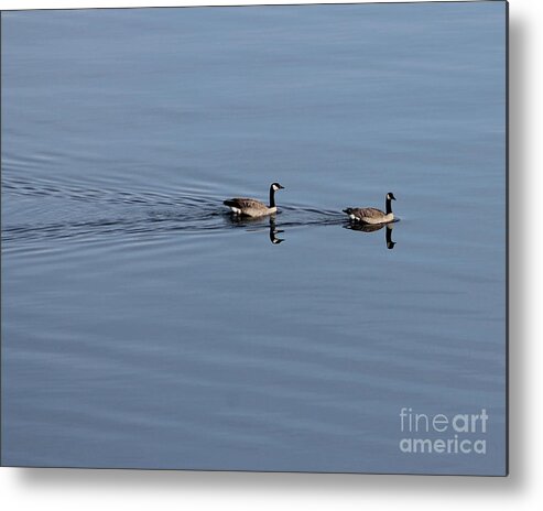 Geese Metal Print featuring the photograph Geese Reflected by Leone Lund