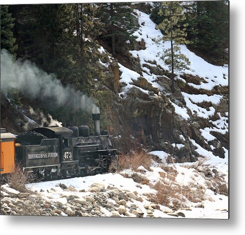  Forest Metal Print featuring the photograph Going Back in Time by Mary Haber