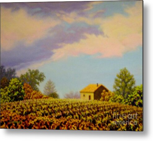 Vineyard Metal Print featuring the painting Golden Hills by Carl Downey