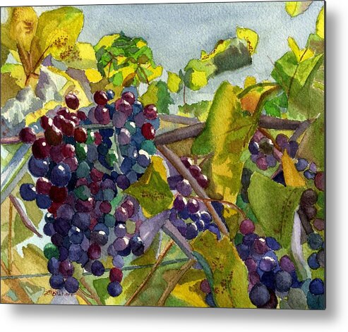 Grapes Metal Print featuring the painting Grapevines by Lynne Reichhart