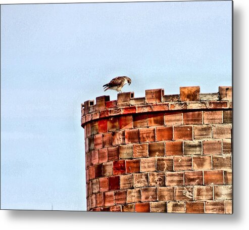 Redtail Hawk Metal Print featuring the photograph Hawk Castle by Rebecca Adams