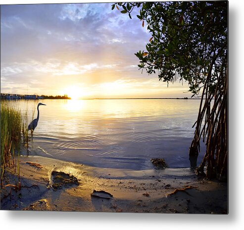 Tropic Metal Print featuring the photograph Heron Sunrise by Frances Miller
