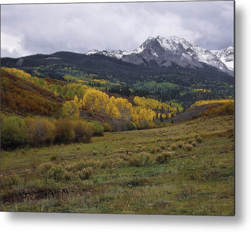 Landscape Metal Print featuring the photograph High Country Autumn by Paul Breitkreuz