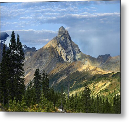 Feb0514 Metal Print featuring the photograph Hilda Peak Banff Np Alberta by Tim Fitzharris