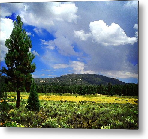 Holcomb Valley Metal Print featuring the photograph Holcomb Valley by Timothy Bulone
