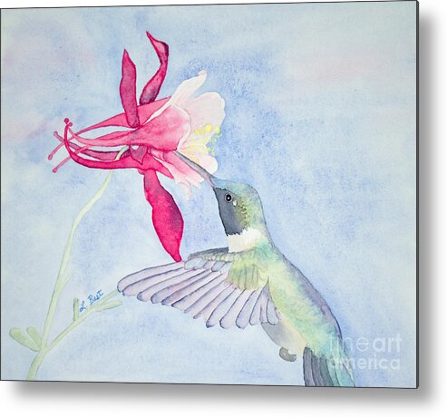 Ruby-throated Metal Print featuring the painting Hummingbird and Columbine by Laurel Best